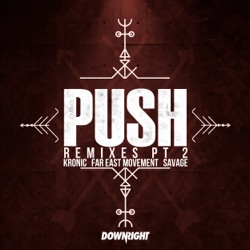 Kronic - Push (Styline Remix)
