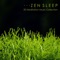 Serenity Spa Music - John Zen lyrics