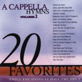 A Cappella Hymns, Vol. 2 artwork