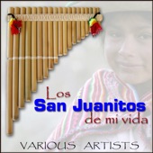 Los San Juanitos de mi vida artwork