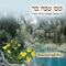 Bat Shishim - Nitzan Ein Habar lyrics