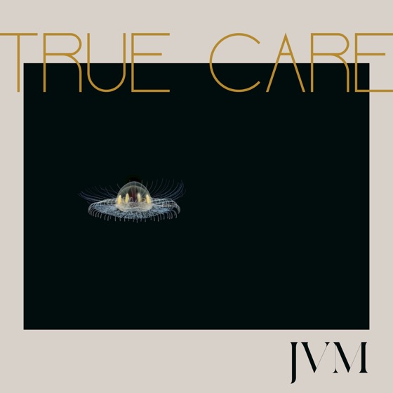 Cover artwork for Constellations