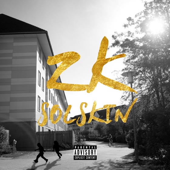 Cover artwork for Solskin