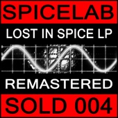 Lost in Spice artwork