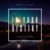 Stream & download In Your Destiny - Single