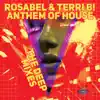 Stream & download Anthem of House (The Deep Mixes)