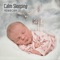Ambient Zen Music - Baby Lullaby Academy lyrics