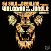 Welcome to the Jungle, Vol. 5: The Ultimate Jungle Cakes Drum & Bass Compilation artwork
