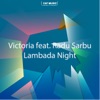Lambada Night (feat. Sirbu Radu) - Single