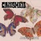 Narc - Crushed lyrics