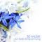Yoga del Mar - Entspannung Tribe lyrics