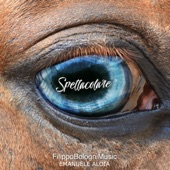 Spettacolare artwork