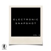 Electronic Snapshot, Vol. 5