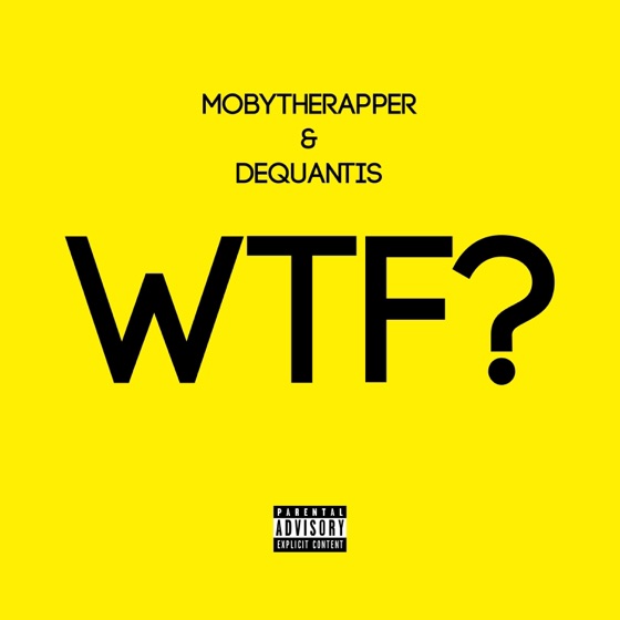 Cover artwork for WTF (feat. Dequantis)