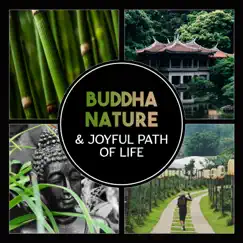 Buddha Nature & Joyful Path of Life – Touch of Healing, Meditation, Spiritual Teaching, Mindfulness Activities for Inner Peace, Energy Zen Flow by Guided Meditation Music Zone album reviews, ratings, credits