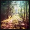Daydream - Like Elephants lyrics