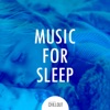 2017 Music for Sleep: Music Before Bed