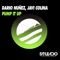 Pump It Up - Dario Nuñez & Javi Colina lyrics