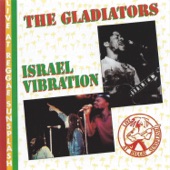 The Gladiators and Israel Vibration Live artwork