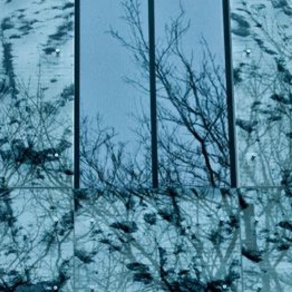 Perspektiv cover