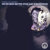 Never Been Better (feat. Amy Kirkpatrick) artwork