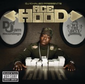DJ Khaled Presents Ace Hood: Gutta artwork