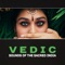 Vedic Mantras - Mantras Guru Maestro lyrics