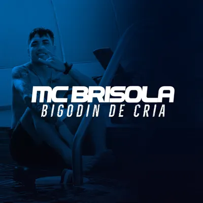 Bigodin de Cria - Single - MC Brisola