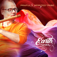 Praful - Earth Tones (feat. Spirited Tribe) artwork