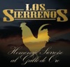 Homenaje Sierreño al Gallo de Oro