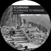 Pilgrimage to Paradise - Single