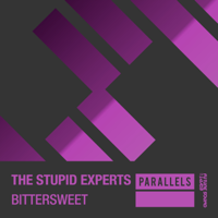 The Stupid Experts - Bittersweet (Extended Mix) artwork