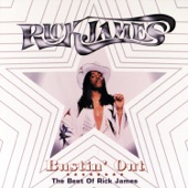 Bustin' Out: The Best of Rick James artwork