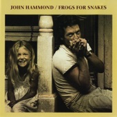 Frogs for Snakes artwork