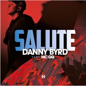 Salute (feat. GQ) artwork