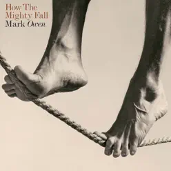 How the Mighty Fall - Mark Owen