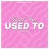 What You Used To - Single