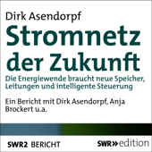 Stromnetz der Zukunft: Die Energiewende braucht neue Speicher, Leitungen und intelligente Steuerung - Dirk Asendorpf