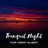 Stream & download Tranquil Night for Deep Sleep: 50 Magical Melodies for Nap Time, Gentle Piano & Guitar, Natural Sleep Aid, Rest & Relaxation After Long Day