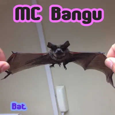 Bat - MC Bangu