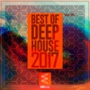 Best of Deep House 2017, Vol. 06