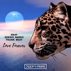 Love Forever (Jako Diaz Remix) Song Lyrics