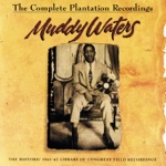 Muddy Waters & Son Simms Four - Rosalie