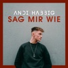 Andi Habbig - Sag mir wie