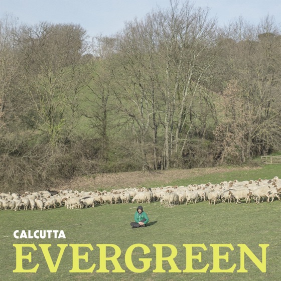Cover artwork for Kiwi