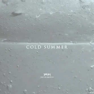 Cold Summer (feat. Tee Grizzley) - Single by Jeezy album reviews, ratings, credits