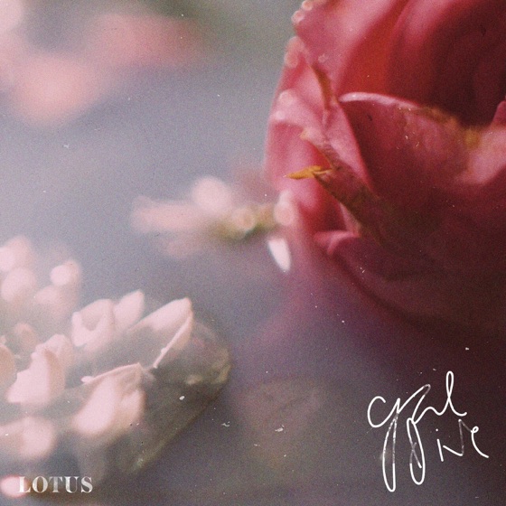 Cover artwork for Lotus