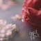 Lotus - Osvaldorio, Wiana & Galdive lyrics