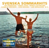 Svenska sommarhits artwork