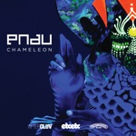 PNAU - Chameleon